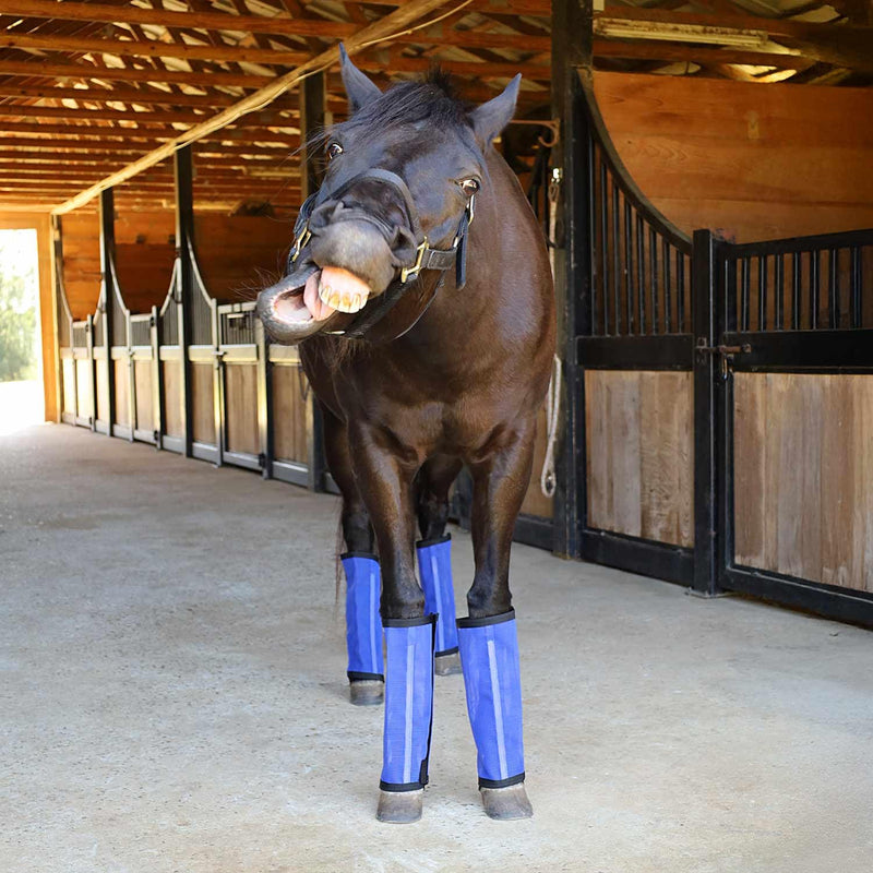 Jeffers Romper Stomper Fly Boots for Horses - Grey, Large – Breathable Mesh Leg Wraps for Insect Protection, Stable Accessories for Summer Turnout, Ride Gear, Horse Hoof & Leg Care - 4 Pack Indigo Medium - PawsPlanet Australia