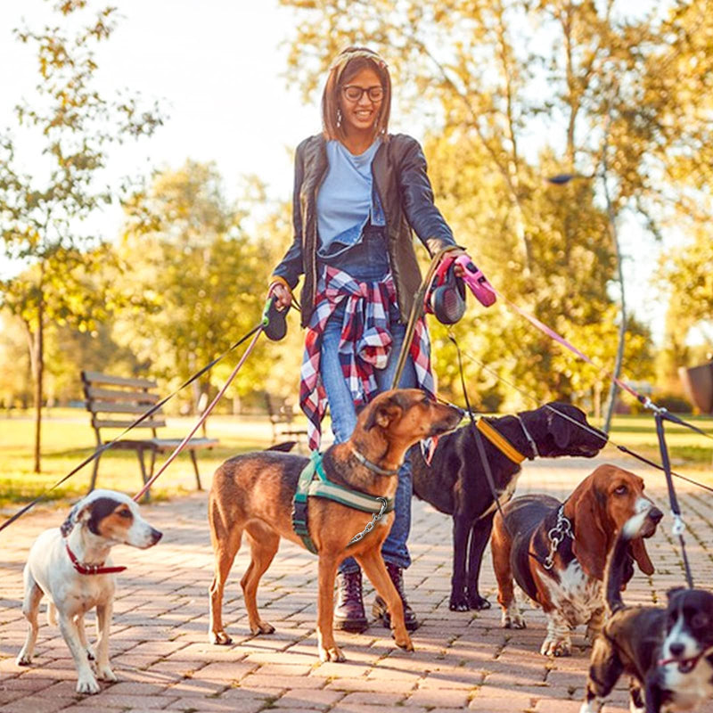 Dog Collar Backup Clip, Chew Proof Double Ended Backup Metal Safety Clasp Pet Dog Leash Connector, Heavy Duty Chain Safety Clip for Prong Collar, Dog Harness, Pinch Collar, Gentle Lead with Carabiner 8inch - PawsPlanet Australia