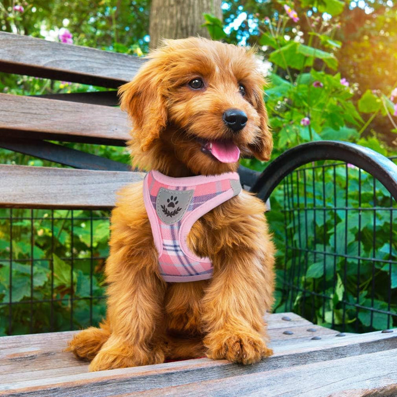 PUPTECK Dog Harness Small Dog with Collar and Lead Set Step-in No Pull Puppy Cat Harnesses for Daily Walking S: Chest girth: 36.8-40.6cm Collar: 20-30cm Pink (Plaid)