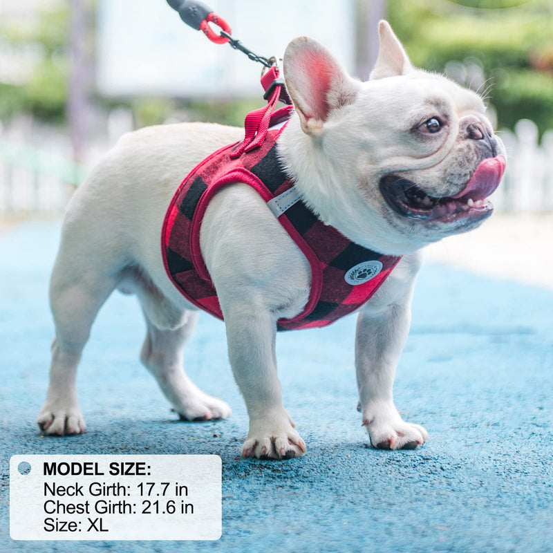 BEAUTYZOO Small Dog Harness and Leash Set,Step in No Choke No Pull Soft Mesh Dog Harnesses Reflective for Extra-Small/Small Medium Puppy Dogs and Cats, Plaid Dog Vest Harness for XS S Pets, Red M Medium(Chest Girth 16" - 18") - PawsPlanet Australia
