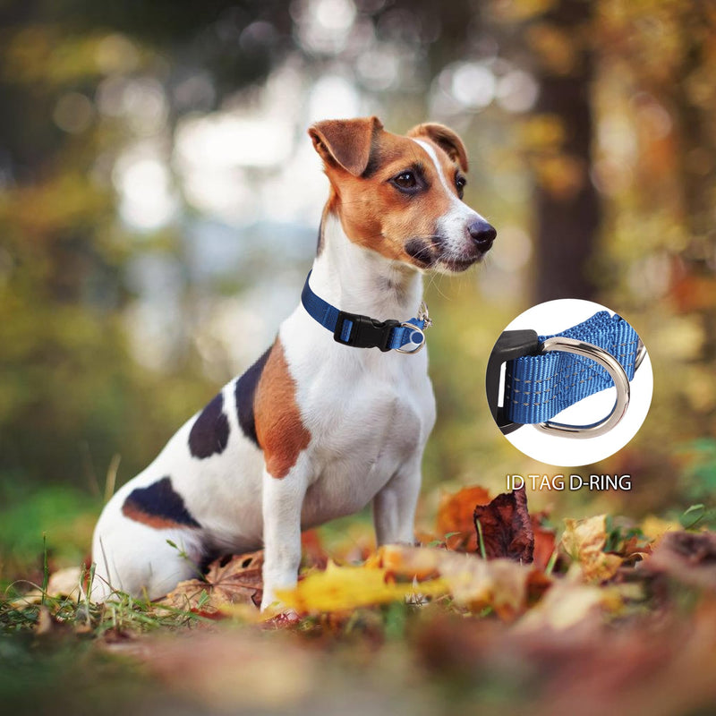Martingale Dog Collar with Quick Release Buckle Steel Chain No Pull Training Reflective Collar for Medium Large Dogs(Blue, Medium) Blue Medium (Pack of 1) - PawsPlanet Australia