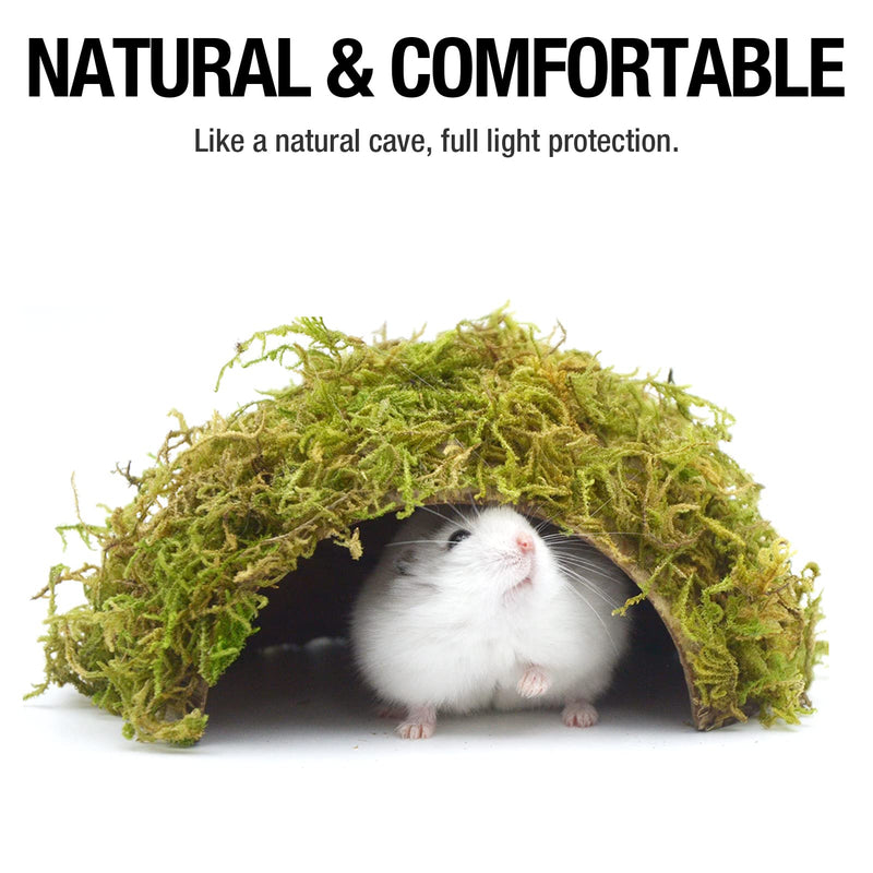 Hamster Hideaway,Mossy Cave Hide,Hamster House/Hides,Hamster Cage Accessories for Gguinea Pig/Hedgehogs/Gliders/Rats/Mice and Other Small Animals (Large) Large - PawsPlanet Australia