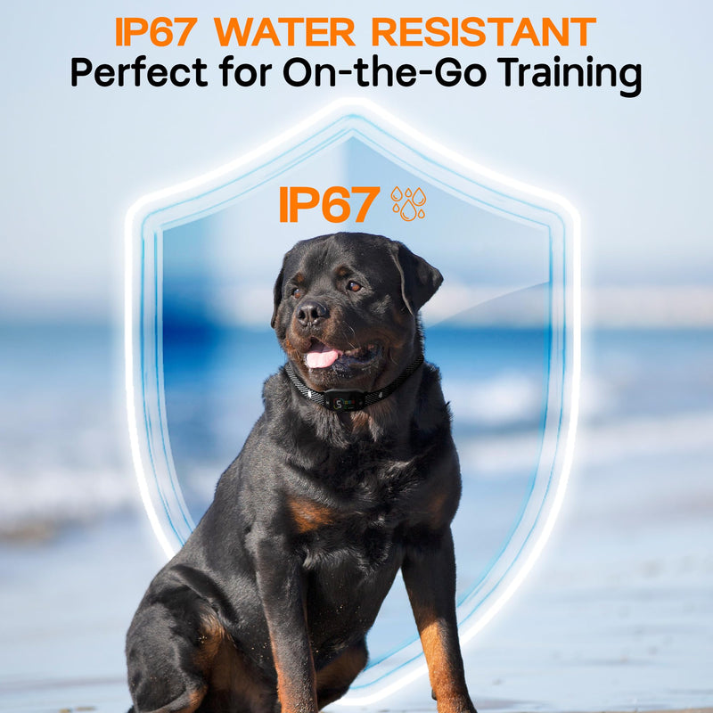Bark Collar for Dogs with Clicker and Whistle – 300% Stronger Vibration, 5 Sensitivity Levels, 4 Training Modes, Fast Magnetic Charging | Waterproof, Adjustable – Train with Love, Not Pain Collar with Clicker & Whistle - PawsPlanet Australia