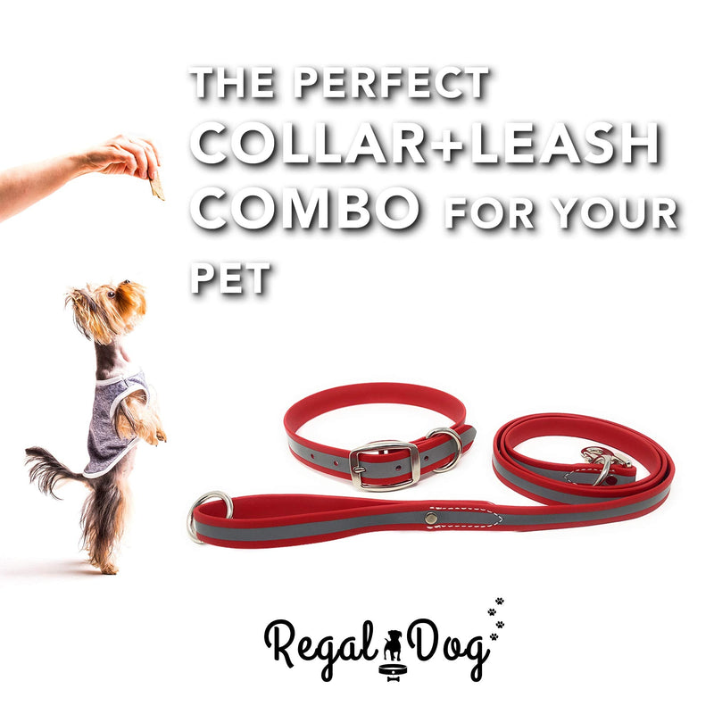 Regal Dog Products Large Red Reflective Dog Collar and Leash Set - Waterproof Biothane Dog Collar with Heavy Duty Double Buckle, D Ring & 5ft Leash - Other Size for Medium & Large Dog Large Collar and Leash - PawsPlanet Australia