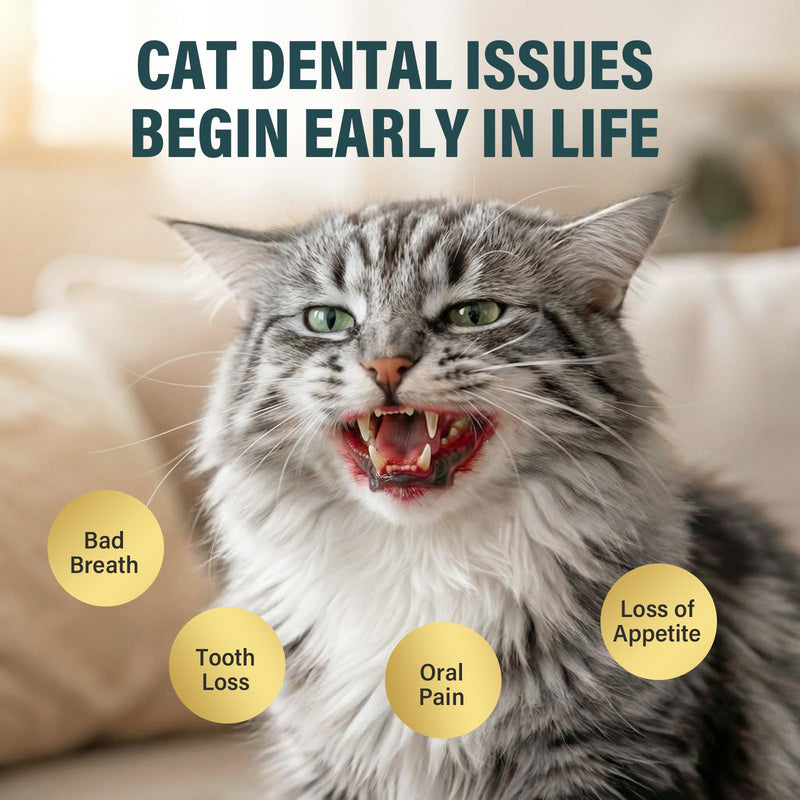 Topicy Plaque Off Powder for Cats, Dental Care Powder with Natural Extracts, Helps Reduce Plaque & Tartar, Supports Gum Health, Tasty Powder for Fresh Breath, 180g 6 oz (180g) - PawsPlanet Australia