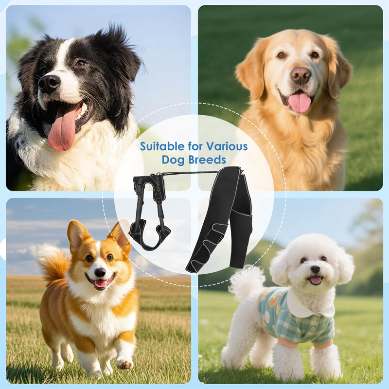 Dog Knee Brace for Hind Leg, Dog Hind Leg Support Protector for Torn ACL Injuries, Keeps Joints Warm and Stable, Cruciate Ligament Support for Injured Dogs, XL