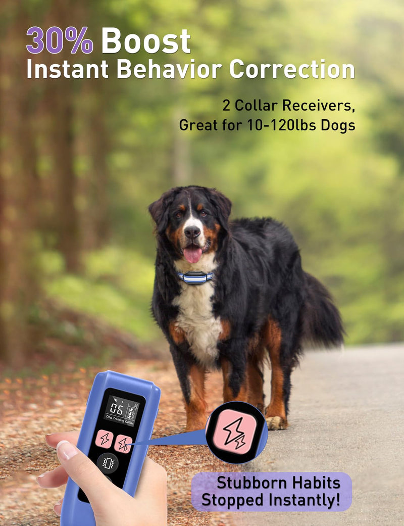 Dog Shock Collar 2 Dogs (10-120lbs) - 3300Ft Dog Training Collar with Beep, Vibration & Shock, IPX7 Waterproof Rechargeable Dog Shock Collars for Small Medium Large Dogs, Security Lock, Purple Purple 2pc - PawsPlanet Australia