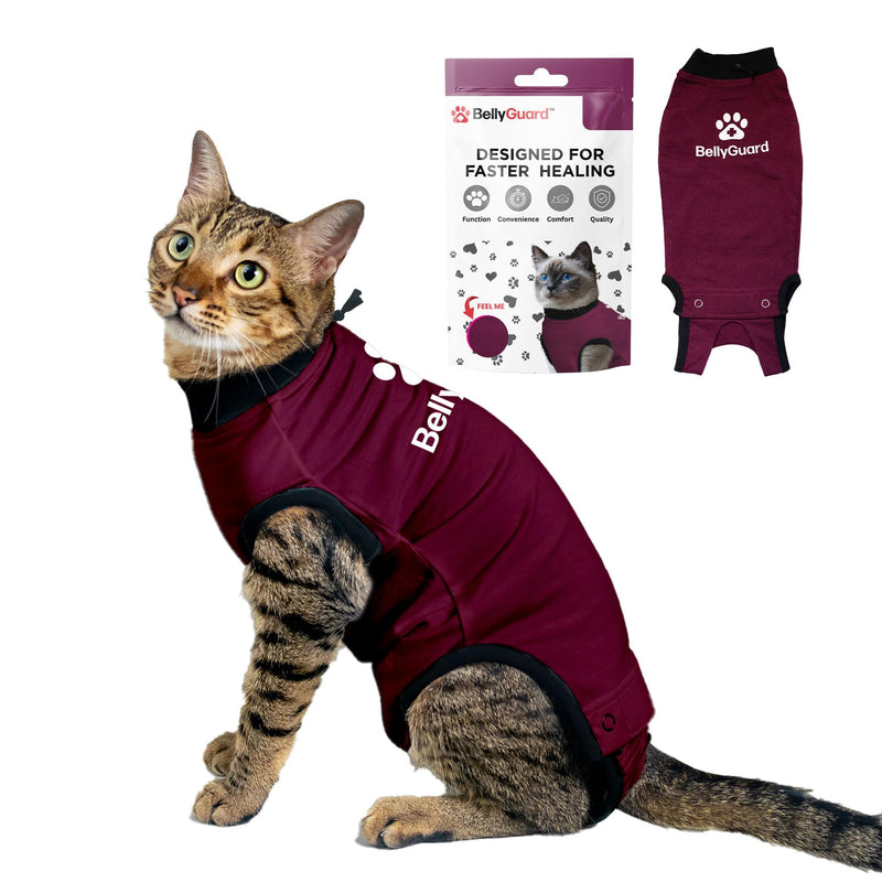 Bellyguard Cat Recovery Suit for Female and Male, Cat Surgery Suit Alternative, Onesie for After Spay Care, Post-Surgery Protective Body Cover for Feline and Kitten Healing XSmall+ Maroon
