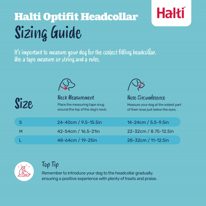 HALTI Optifit Headcollar - To Stop Your Dog Pulling on the Leash. Adjustable, Reflective and Lightweight, with Padded Nose Band. Dog Training Anti-Pull Collar for Large Dogs (Size Large) - PawsPlanet Australia