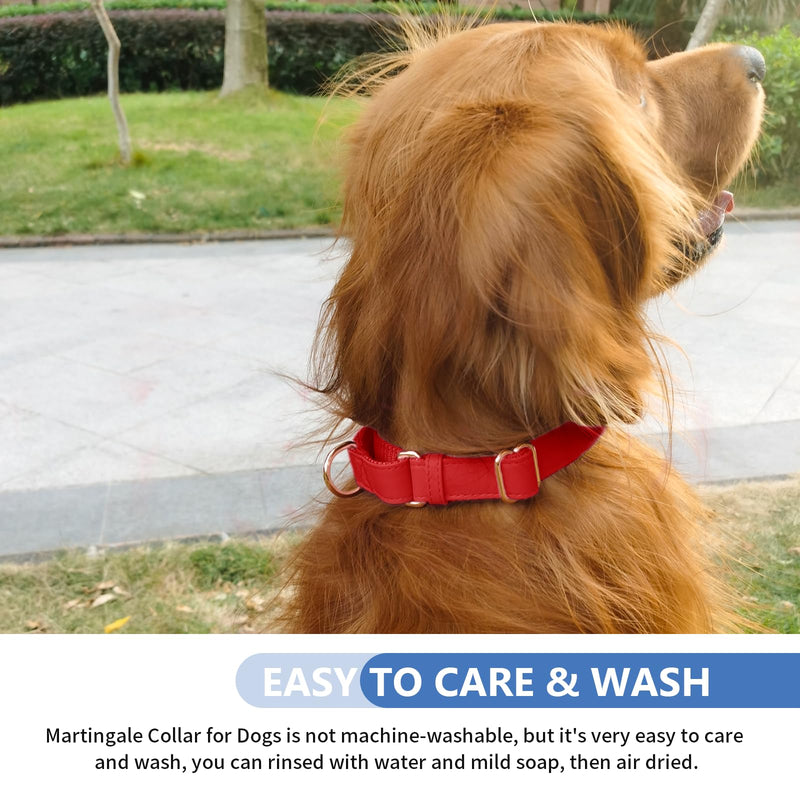 Soft Leather Martingale Dog Collar - Adjustable Rose Gold Limited Slip Collars [Easy to Clean], Stylish Durable Heavy Duty Nylon No Pull Training Collar for Small Medium Large Dogs M Red M (Neck 14"-21", Width 1") - PawsPlanet Australia