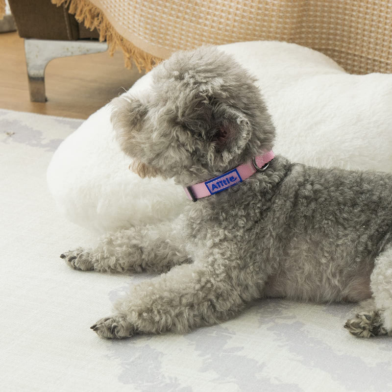 AIITLE Step in Dog Harness Collar Leash Set - Adjustable No Pull Dog Halter Harness - Comfortable Padded Handle - Easy Control for Walking - for Extra-Small Breed Dogs, Pink Gradient XS - PawsPlanet Australia