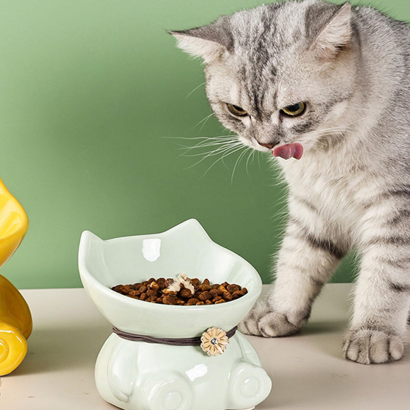 Ceramic Raised Cat Bowls for Indoor Cats 5.8 Inch Green Cute Elevated Food Bowls 15° Tilted Whisker Friendly Water Bowl Dishwasher Safe Puppy Feeding Set Supplies Dog Accessories Green Cute Elevated Cat Food Bowls