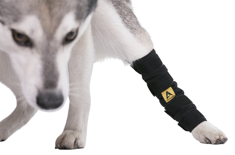 AGON® Dog Leg Braces for Back Leg wrap hock Compression Protects Wounds and Helps heal hind Legs Rear Ankle Joint, preventing Injuries, sprains Providing Stability for Dogs, Canines Arthritis (Large) Large - PawsPlanet Australia