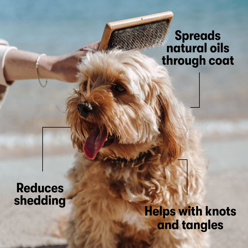 DOG by Dr Lisa - Slicker Brush - Short Bristle Brush for Dogs - For Most Dog Coats - Made from Sustainable Bamboo - Vet-Created - Small