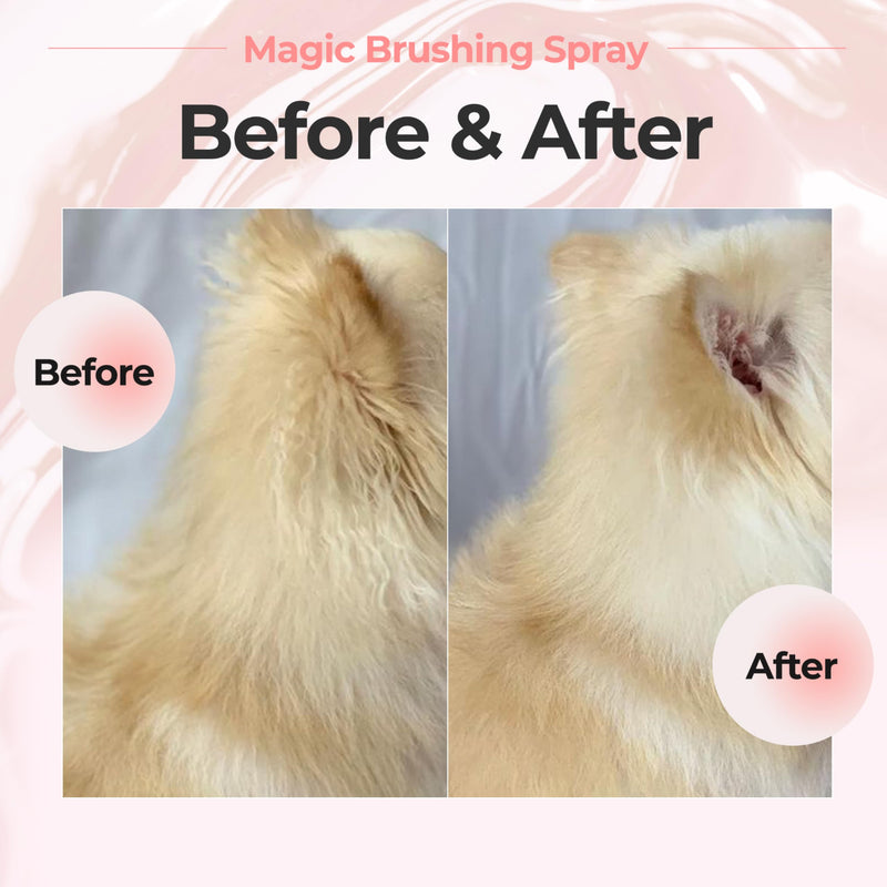 JAYU PET Magic Brushing Spray - Fur Detangler & Dematting Solution, Hypoallergenic Deodorizer, Conditioner & Itch Relief, Shining & Grooming Spray for Dogs (170ml, 5.8fl oz) Detangling & Deodorizing 170ml - PawsPlanet Australia