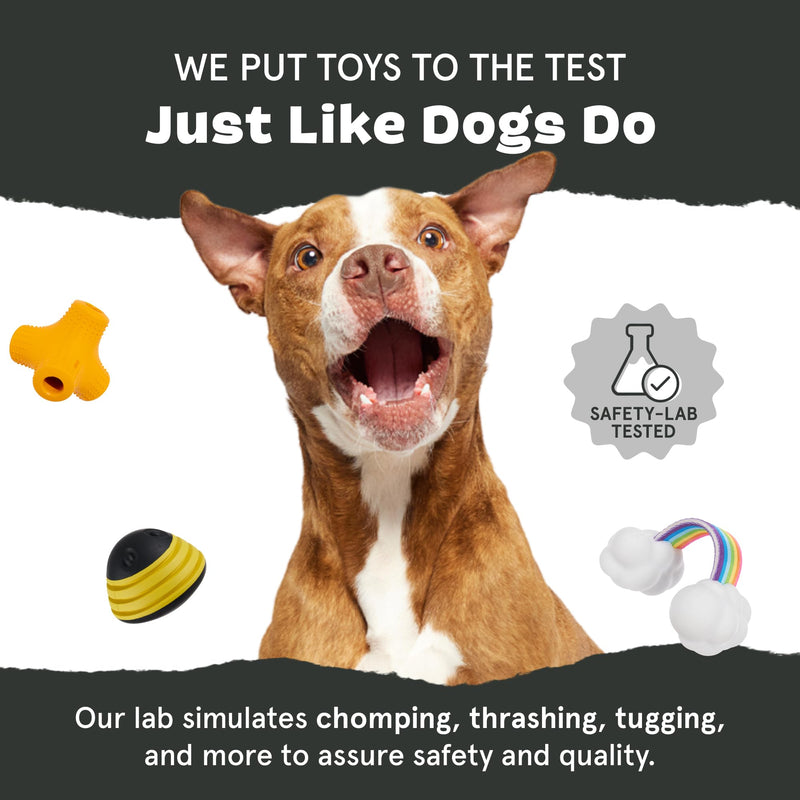 Barkbox Pupkin Spice Latte Plush Dog Toy – Plush Dog Toys – Puppy and Pet Toys for Medium to Large Dogs M/L - PawsPlanet Australia