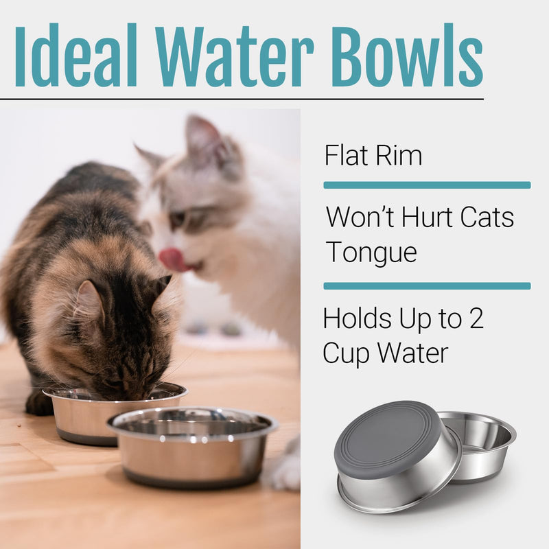 PEGGY11 Stainless Steel Metal Cat Bowls, Nonslip Rubber Bottom, Dishwasher Safe, Easy to Clean - 2 Pack, Each Holds 2 US Cup 2 CUP