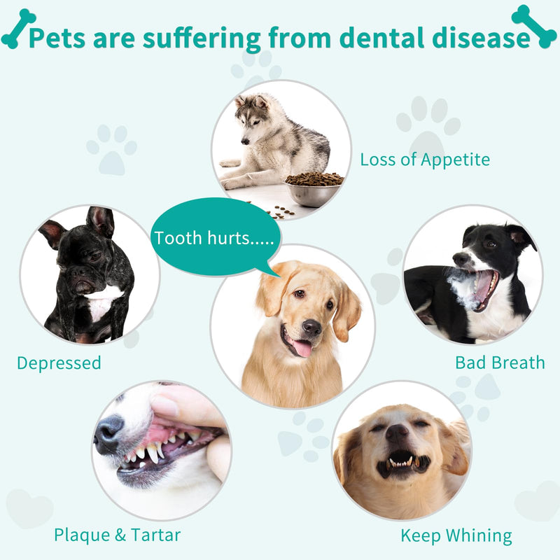 Dog Finger Toothbrush for Pet: Puppy Teeth Brushing Kit - Cat & Doggie Dental Cleaning Fingertip Fingerbrush Summer Soda-5pcs - PawsPlanet Australia