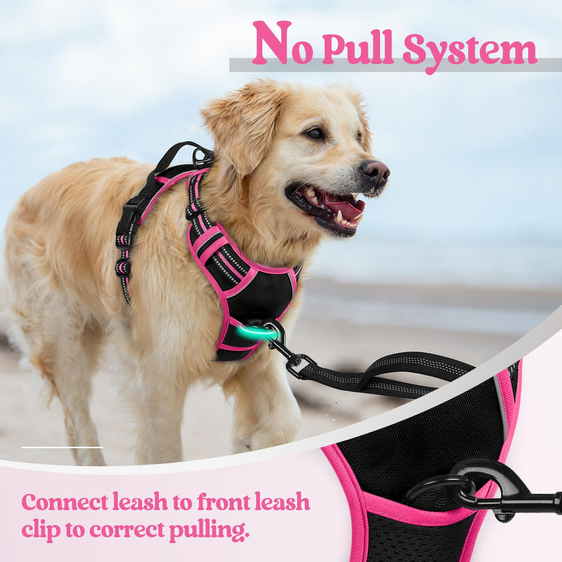 rabbitgoo Dog Harness No Pull with 2 Leash Clips, Adjustable Soft Padded, Reflective Oxford No Choke Pet Vest with Easy Control Handle for Large Dogs, Black & Hot Pink, M Medium - PawsPlanet Australia