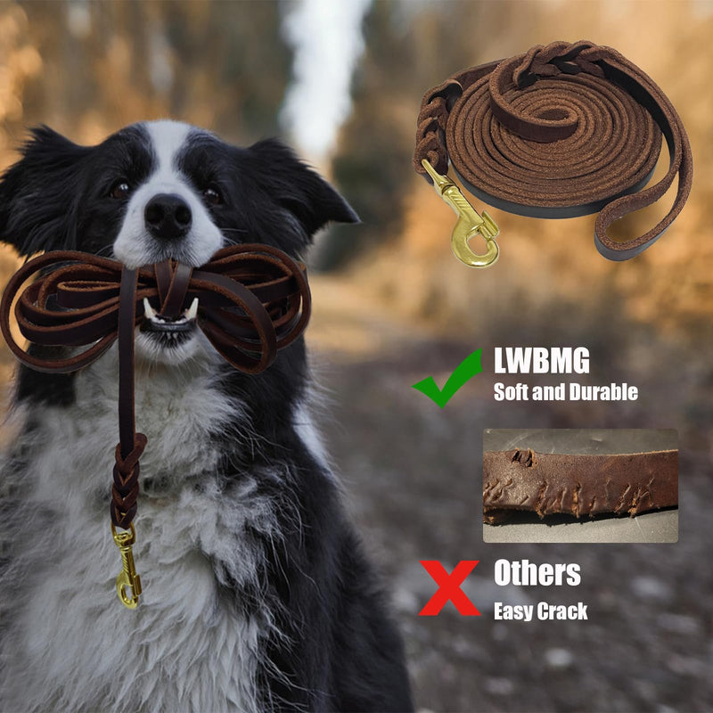 LWBMG Long Leather Dog Leash 10ft, Heavy Duty Dog Leash, Strong Sturdy Genuine Leather Braided Dog Leash, Soft and Comfortable Leather Leash for Medium and Small Dogs Training 10ftx1/2'' Brown - PawsPlanet Australia