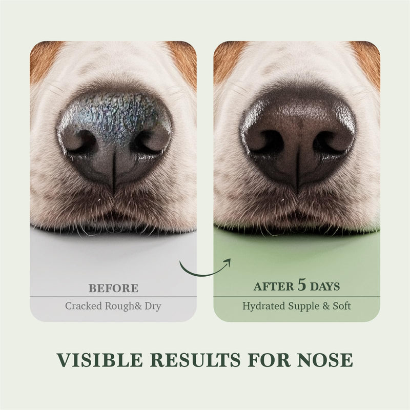 Dog claw wax &dog nose balm containing coconut oil , paw balm &dog paw balm| can save chapped claws and nose, safely lick, moisturize, repair and cure, is suitable for dogs, cats &horses, 2.1 oz/60g. - PawsPlanet Australia