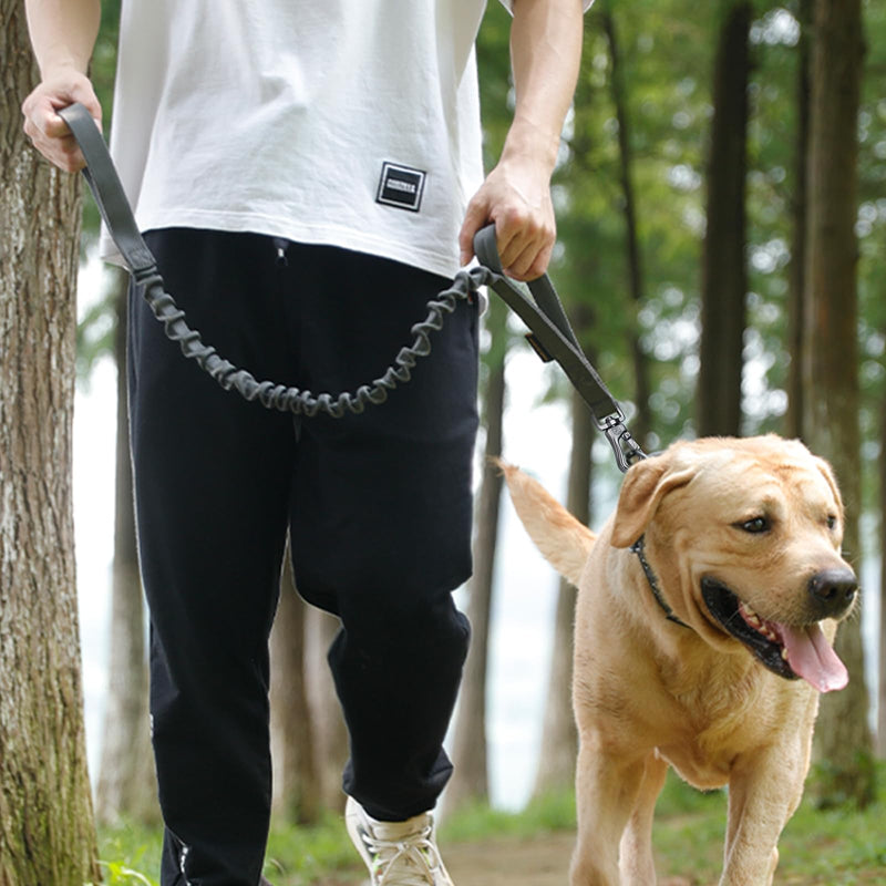 EXCELLENT ELITE SPANKER Military Bungee Dog Leash Elastic Leads Rope with 2 Padded Control Handle for Medium and Small Dogs (MCP) MCP - PawsPlanet Australia