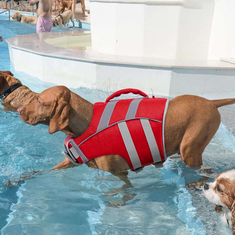 Kuoser Dog Life Jacket with Reflective Stripes, Adjustable High Visibility Dog Life Vest Ripstop Dog Lifesaver Pet Life Preserver with High Flotation Swimsuit for Small Medium and Large Dogs Large (Chest Girth:22.8-29.5'') 1#Red - PawsPlanet Australia