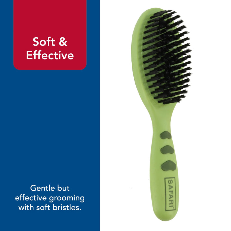 Coastal Pet - Safari - Bristle Dog Brush, Brush, Large (9" L x 2.625" W) - PawsPlanet Australia