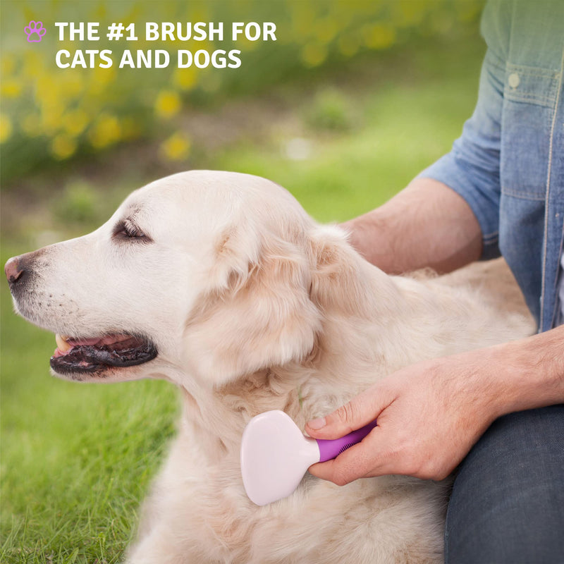 Poodle Pet Bundle - Detangling Pet Comb for Removing Matted Fur, Knots, and Tangles + Slicker Brush for Small and Large Dogs Pet Hair Remover, Safe and Gentle for Dogs and Cats - PawsPlanet Australia