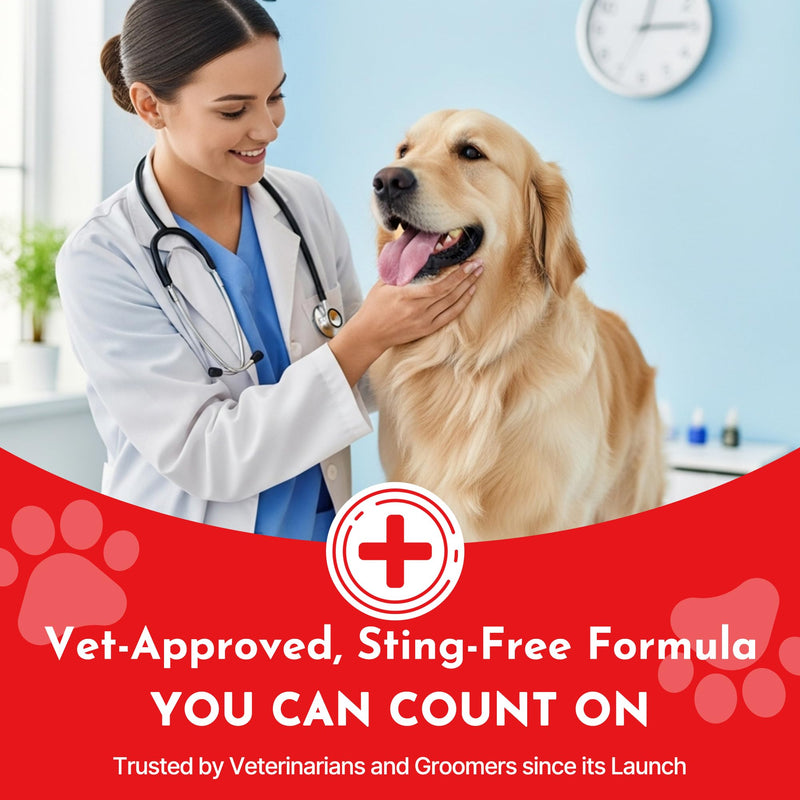 Styptic Powder for Dogs–Quick Stop Bleeding for Dogs Nails, Minor Cuts, Scratches–Blood Stop Powder with Herbal Support,Gentle & Sting-Free–5.3 oz Styptic Powder for Grooming,Vets,Pet First Aid Kits - PawsPlanet Australia