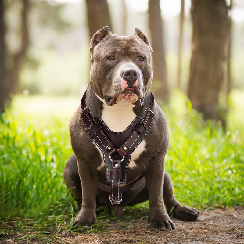 Guiding Star Leather Dog Harness Heavy Duty Dog Harness for Large Dogs Soft Dog Vest with Adjustable Straps for Large Extra Large Dogs Vest 24"-30" Dark Brown Chest:24-30" - PawsPlanet Australia