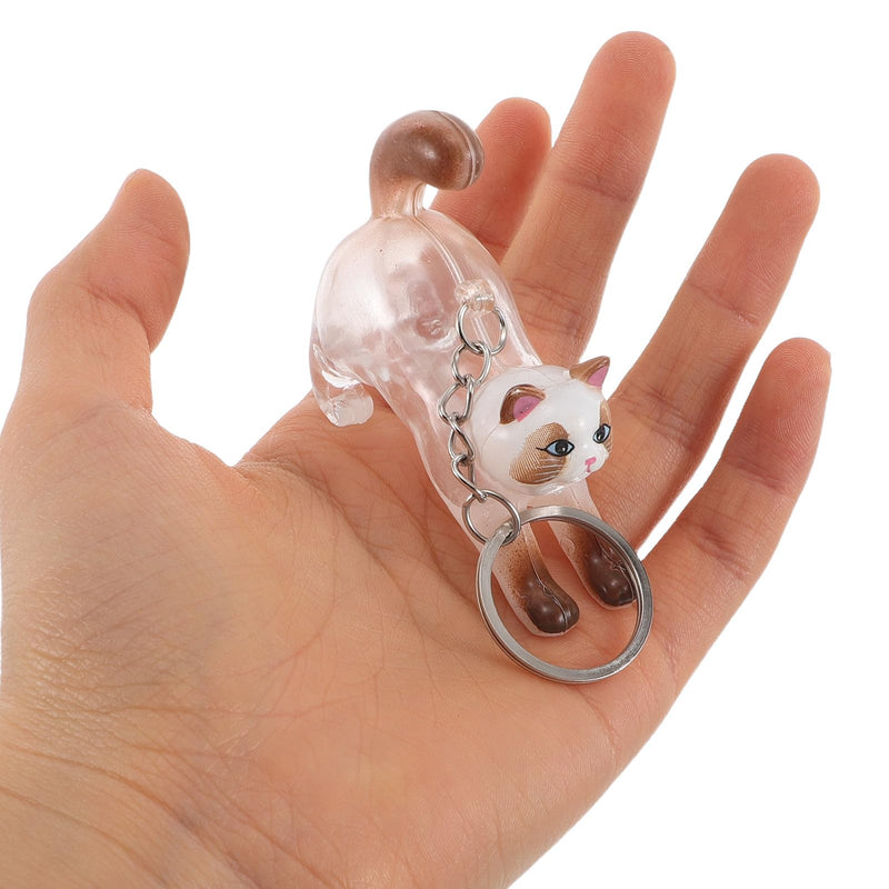 2 Pieces Transparent Cat Hair Container Organizer Made of Plastic and Alloy with Cat Shape Portable Keepsake Box Keyring for Everyday Use and Special Occasions