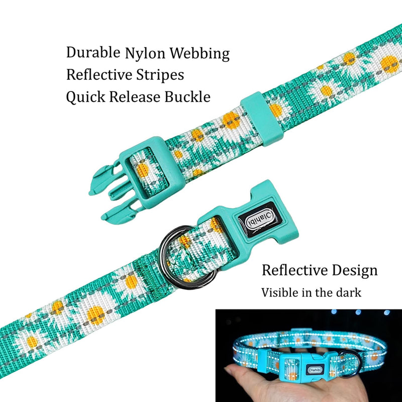 Dog Collar Leash Set, Floral Pattern, with Safety Reflective Strips, 5 ft Matching Leash, Neoprene Padded Handle, Adjustable 4 Sizes for Small Medium Large Dogs.(S, Pink Daisy) Floral Daisy Green
