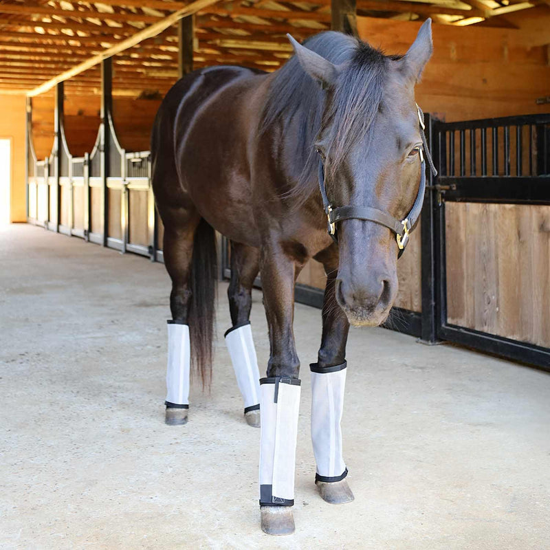 Jeffers Romper Stomper Fly Boots for Horses - Grey, Large – Breathable Mesh Leg Wraps for Insect Protection, Stable Accessories for Summer Turnout, Ride Gear, Horse Hoof & Leg Care - 4 Pack Medium - PawsPlanet Australia