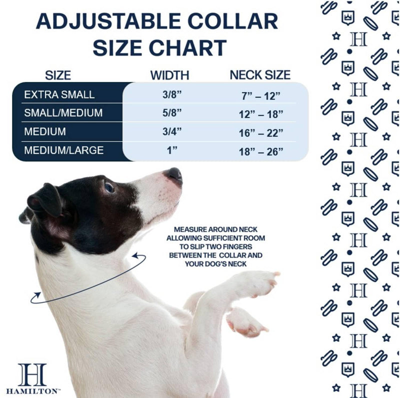 Hamilton Adjustable Nylon Dog Collar for Small Medium Large Dogs, Hot Pink, 3/8" Wide x 7-12" Neck XS: 3/8" x 7-12"