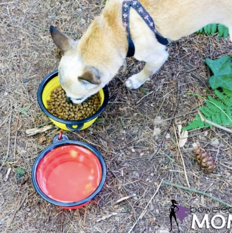 Mr. Peanut's Collapsible Dog Bowls, Set of 3 Colors, Dishwasher Safe BPA Free Food Grade Silicone Portable Pet Bowls, Foldable Travel Bowls for Feed & Water on Journeys, Hiking, Kennels & Camping - PawsPlanet Australia