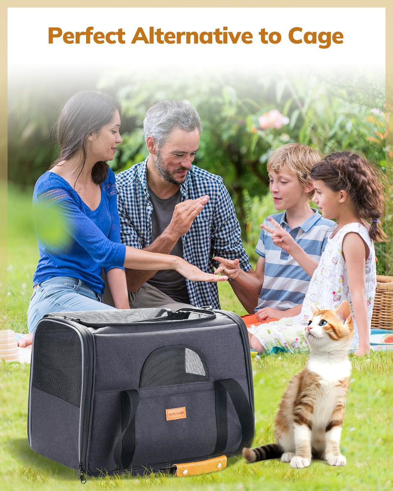 Morpilot Cat Carrier Soft - Portable Pet Carrier for Small or Medium Cats, Dogs and Puppy up to 14lbs, Airline Approved Dog Carrier with Safety Buckle and Foldable Bowl - 17 x 11 x 12 Inch (Dark Gray) 17.2"L x 10.8"W x 11.6"H Gray & Bowl - PawsPlanet Australia