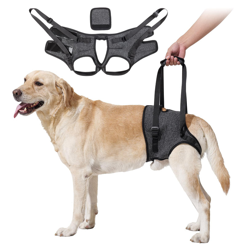 HEYWEAN Dog Lifting Harness Leg Support for Back Legs Dog Slings for Small Medium Large Dogs Leg Brace Adjustable Lift Harness Hind Legs Support Strap for Injured Disabled Elderly Dogs Walking Aid Grey L