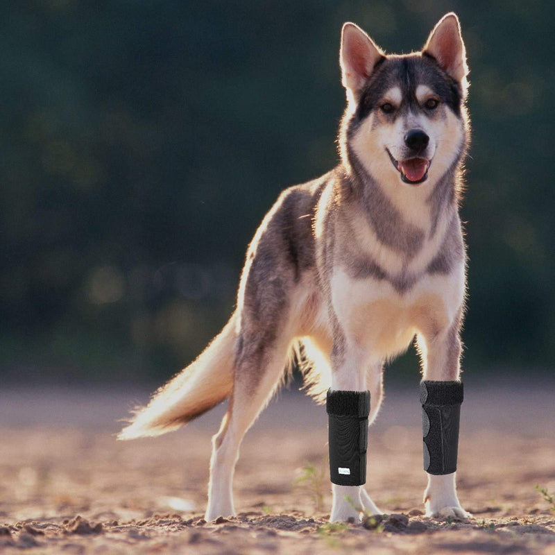 In hand Dog Front Leg Compression Brace, Pair of Canine Leg Wrap with Metal Strips & Safety Reflective Straps, Protects Wounds Brace Heals and Prevents Injuries and Sprains L-XL