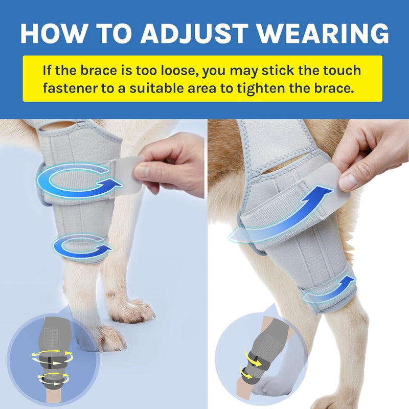 Dog Knee Brace for Torn ACL – Rear Leg Support for Ligament Injuries and Joint Pain Relief, Size: Large(10.2-13.3)
