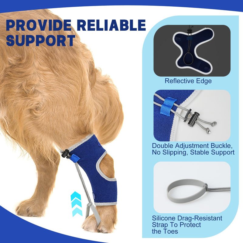 Dog Knuckling Braces Wrap for Hyperflexion of Phalanges Cause by Sciatic Nerve Damage & Carpal Flexural Deformity - Dual Locking Straps for Safe Adjustable Toe Lift Support (Blue, X-Large) Blue