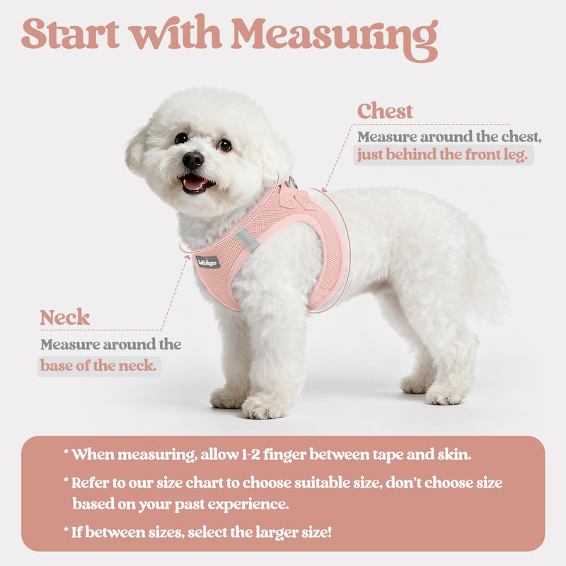 rabbitgoo Dog Harness Small Sized and Leash Set, Step in Soft Light Puppy Vest, Breathable Mesh Pet Harness, Reflective for Safe Outdoor Walking, Pink S S (Chest: 15.1 - 16.5") - PawsPlanet Australia