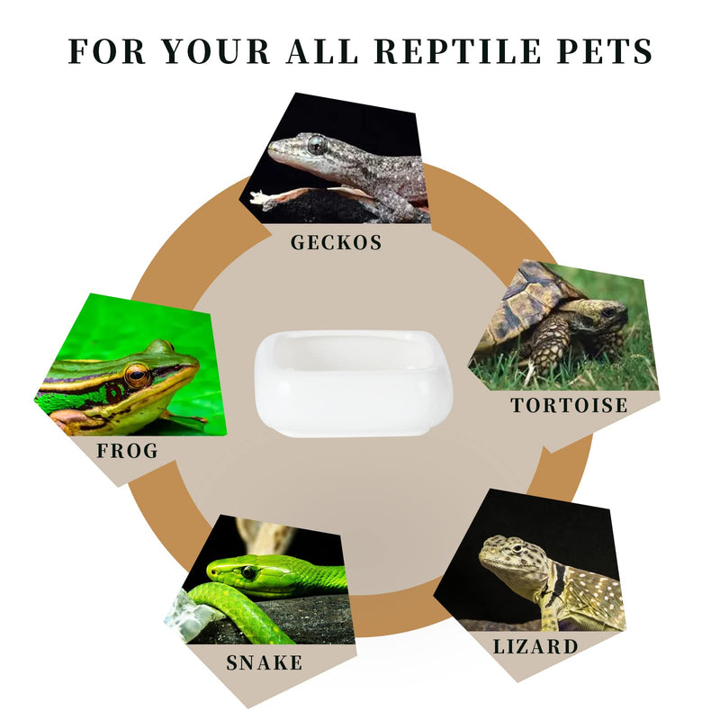 Reptile Food Bowls -Ceramic Square Reptile Water Food Dish, Pet Food Bowl for Lizards, Young Bearded Dragons, Small Snakes, Gecko Tortoise Spider (White, Small 2-Pack) White - PawsPlanet Australia