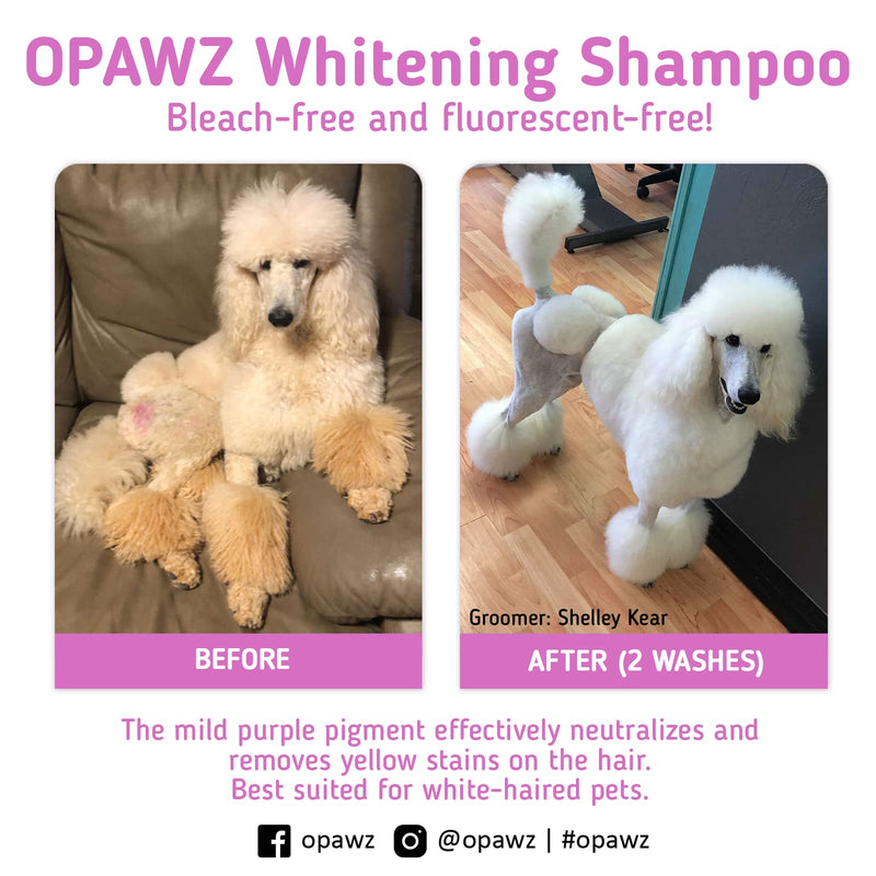 OPAWZ 05 Whitening Purple Shampoo for Dog and Cat, Safely Remove Yellow Stains, with No Bleach, Peroxide and Sulfate, Professional Groomers Recommended Product, 16.9 oz - PawsPlanet Australia