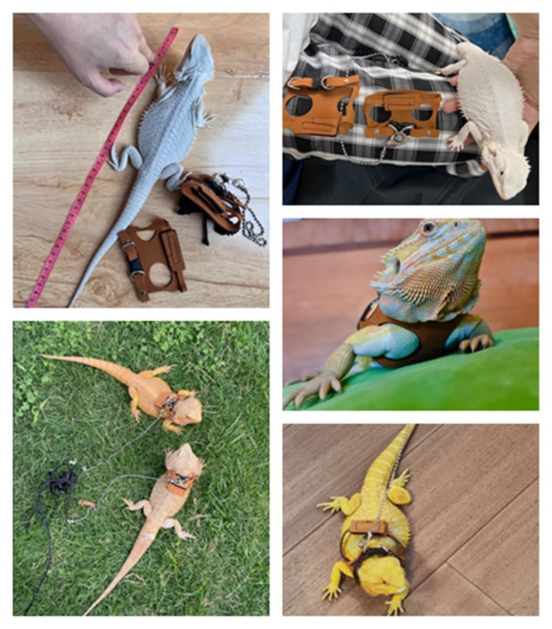 Bearded Dragon Harness and Leash Adjustable(M,L,XL) - Soft Leather Reptile Lizard Leash Accessories for Bearded Dragon, Lizard and Other Small Pets (XL) XL - PawsPlanet Australia