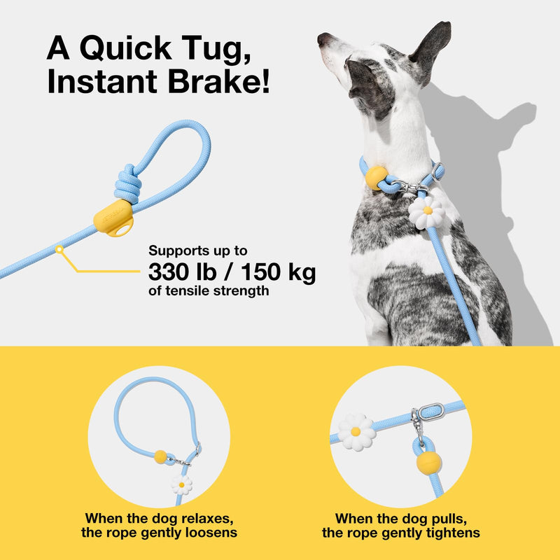 VETRESKA Hands-Free Dog Leash, 8FT Adjustable Rope Leash for Medium Large Dogs, Waist/Crossbody Slip Lead Leashes for Walking, No Pull Dog Leashes with Bag Dispenser, Clip, 3 in 1 Walk Kit (Daisy) Daisy Blue - PawsPlanet Australia