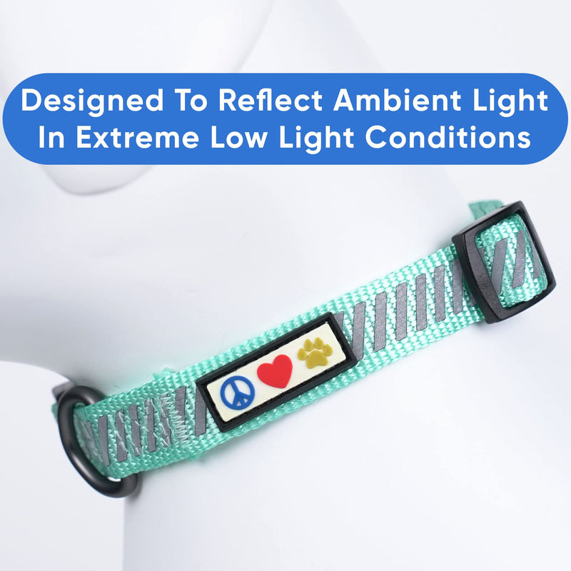 Pawtitas Reflective Dog Collar for Dog and Puppies A High Visibility Collar with Reflective Bands | Adjustable Dog Collar Heavy Duty Perfect for Extra Small and Small Puppies - Teal XS Collar X-Small (Pack of 1)