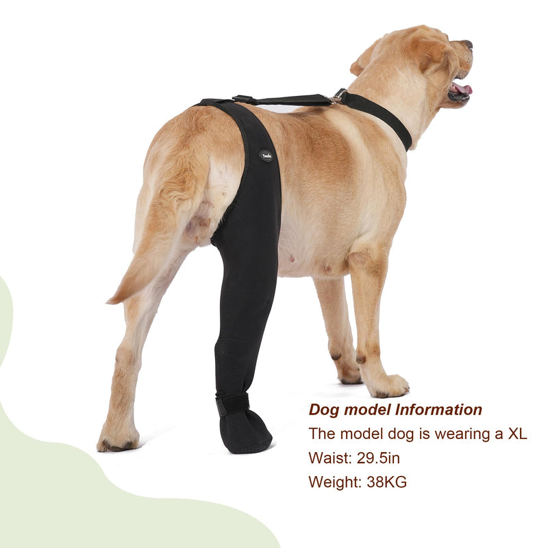 Dog Socks to Prevent Licking Paws ，Breathable Leg Sleeve to Stop Licking and Biting， Firm and Secure Adjustable Size Dog Recovery Sleeve Socks (L-Right) L-Right - PawsPlanet Australia