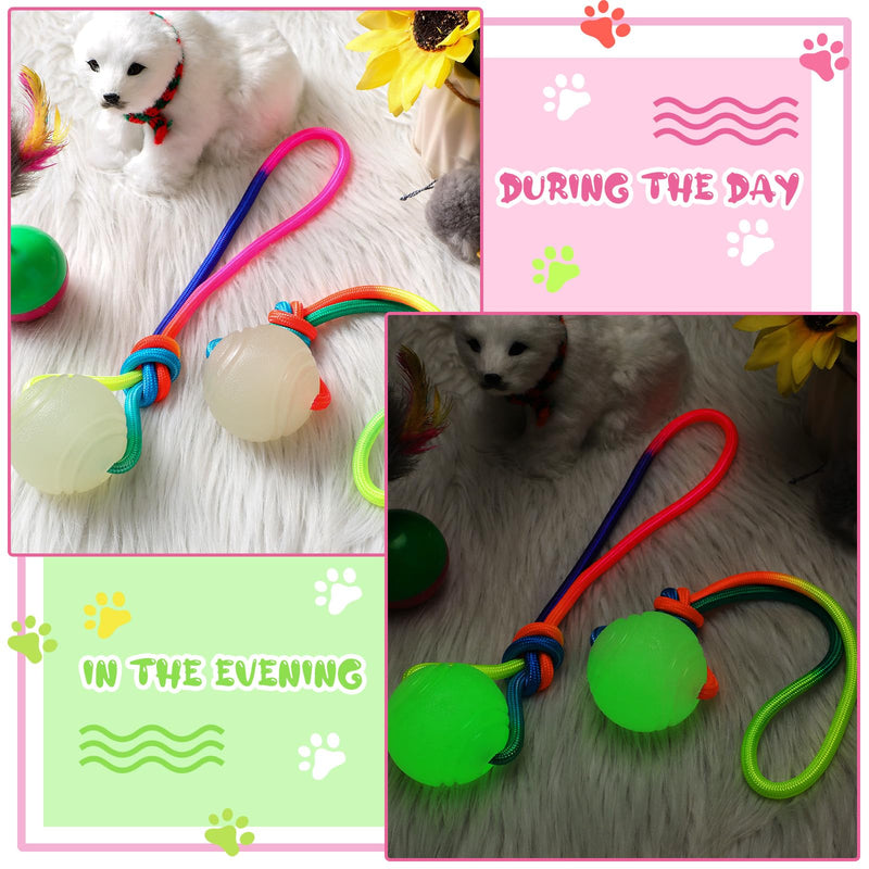 2 Pcs Glow in The Dark Dog Training Ball on Rope 2.36 Inch 12 Inch Rope Glowing Rubber Dog Toys Dog Pull Tug Throw Toys with Handle Reward Fetch Exercise Ball for Small Large Medium Dogs - PawsPlanet Australia
