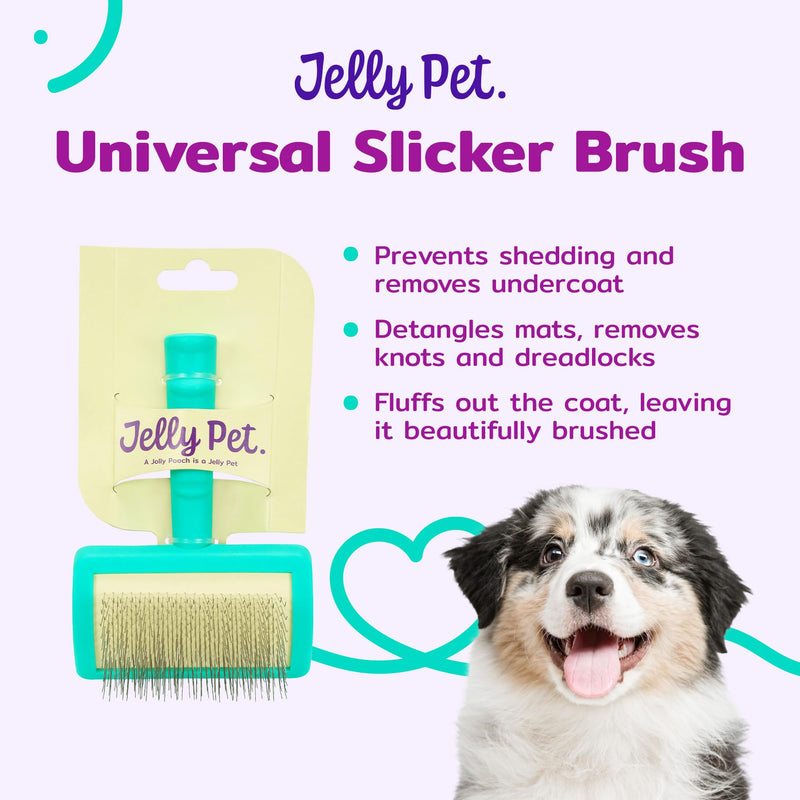 Jelly Pet Universal Slicker Brush for Dogs, Dog Grooming Brush, Remove Tangles and Dead Undercoat, Tuffer Than Tangles, Maltese Shi-Tzu Poodle Bichon, Firm Pins, Teal, Small Small (2.5 in x 4 in) - Pins (Firm) - PawsPlanet Australia